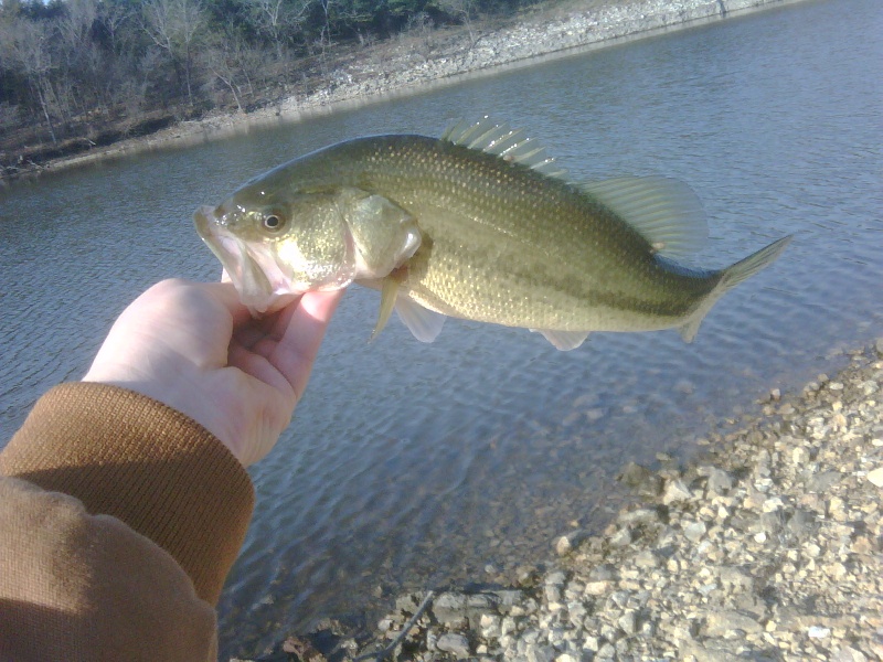 First Fish Of the Year