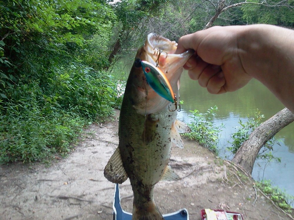 bass near North Miami