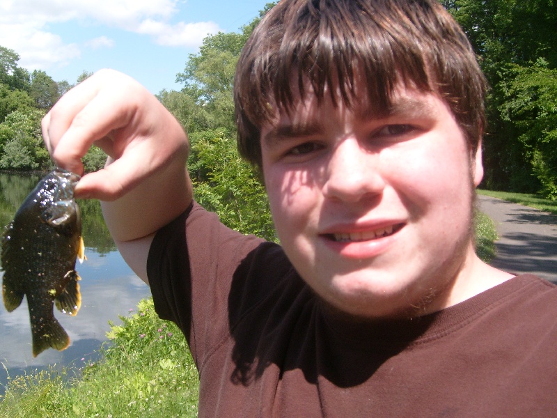 green sunfish