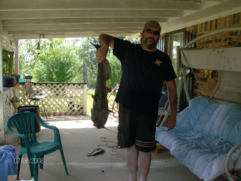 Huge Cats near McCurtain