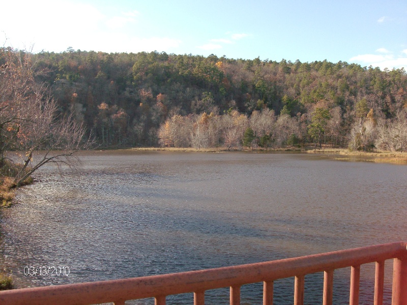 Carlton Lake "Marsh Area"